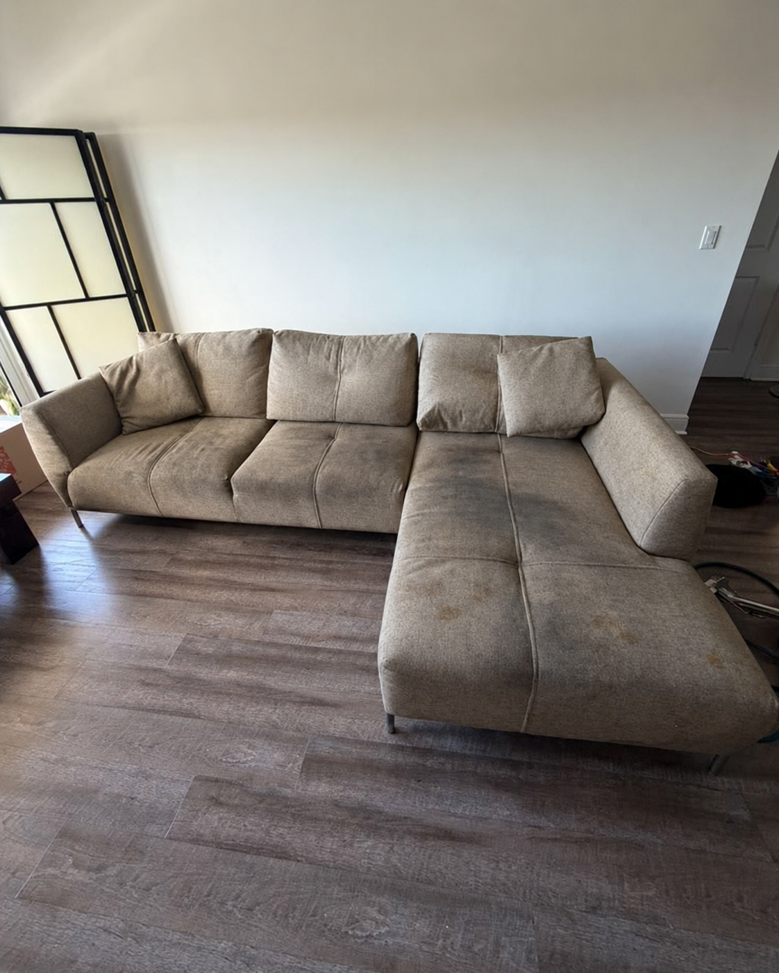 Sofa before professional cleaning