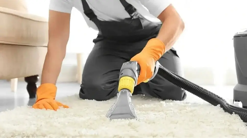 Technician using a hot water extraction tool to deep clean a white shag carpet